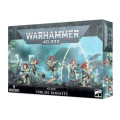 W40K : Aeldari - Howling Banshees 0