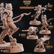 Cast n Play - Catfolks Heroes - Rogues