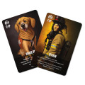 Flash Point: Fire Rescue Expansion : Veteran and Rescue Dog Pack 0