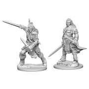 Pathfinder Battles Deep Cuts Unpainted Miniatures: Human Male Fighter