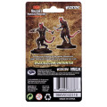 D&D Nolzur's Marvelous Miniatures: Tiefling Male Rogue 1