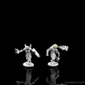 D&D Nolzur's Marvelous Miniatures: Male Dragonborn Paladin 2