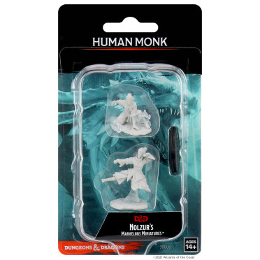 D&D Nolzur's Marvelous : Female Human Monk