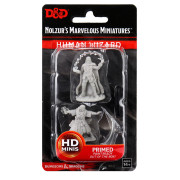 D&D Nolzur's Marvelous Miniatures: Male Human Wizard
