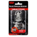 D&D Nolzur's Marvelous : Male Human Wizard 0