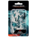 D&D Nolzur's Marvelous : Male Firbolg Druid 0