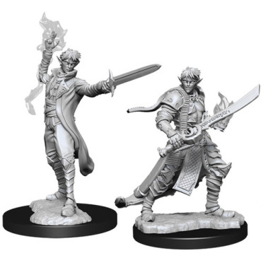 Pathfinder Battles Deep Cuts Unpainted Miniatures: Male Elf Magus