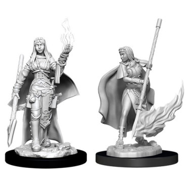 Pathfinder Battles Deep Cuts Unpainted Miniatures: Female Human Oracle