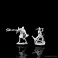 D&D Nolzur's Marvelous : Human Ranger 2