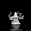 D&D Nolzur's Marvelous Unpainted Miniatures: Roper 2