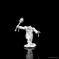 D&D Nolzur's Marvelous Unpainted Miniatures: Ogre Zombie 2