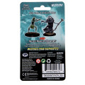 D&D Nolzur's Marvelous Unpainted Miniatures: Sea Hag & Bheur Hag 1