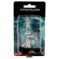 D&D Nolzur's Marvelous Unpainted Miniatures: Human Paladin 0