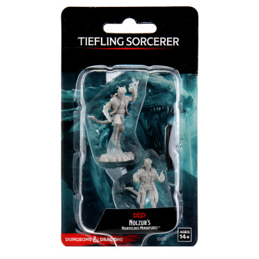 D&D Nolzur's Marvelous Miniatures: Male Tiefling Sorcerer