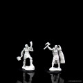 D&D Nolzur's Marvelous Unpainted Miniatures: Female Human Barbarian 2