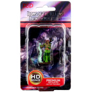 D&D Icons of the Realms Premium Figures - Human Female Druid
