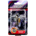 D&D Icons of the Realms Premium Figures - Aasimar Male Paladin 0