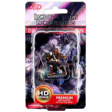 D&D Icons of the Realms Premium Figures - Dragonborn Female Paladin