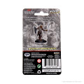 D&D Icons of the Realms Premium Figures - Dragonborn Female Paladin 1