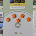 Earth - Objective Markers 9