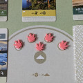 Earth - Objective Markers 10