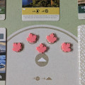 Earth - Objective Markers 12