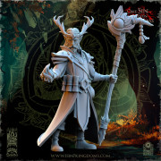 The Beholder Miniatures - Sylvains - Findlas