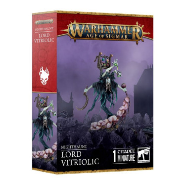 Age of Sigmar : Nighthaunt - Seigneur Vitriolique