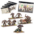 Kings of War - Champions - Arokamorra Company Box 1