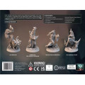 Tainted Grail - Kings of Ruin : Stretch Goals 2