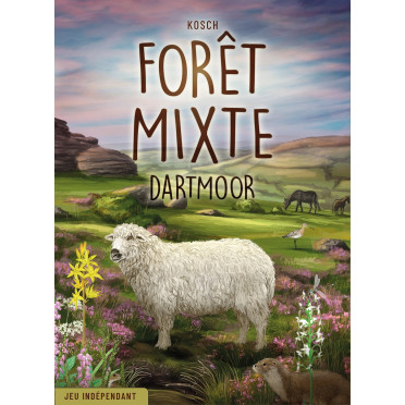 Forêt Mixte : Dartmoor