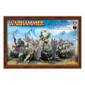 Age of Sigmar : Gloomspite Gitz - Chevaucheurs d’Araignées 0