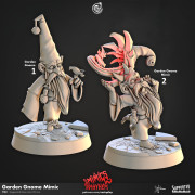 Cast n Play - Chaos de Mimics - Gnome de Jardin