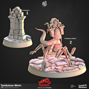 Cast n Play - Chaos de Mimics - Tombe