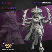 White Angel Miniatures - Slave to Darkness - Dark Sorceress