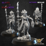 White Angel Miniatures - Slave to Darkness - Queen of the Dark Realm