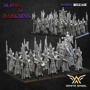 White Angel Miniatures - Slave to Darkness - Dark Elite with EMC