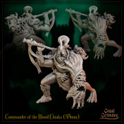 Great Grimoire - Cursed Bastion - Commandant des Capes de Sang