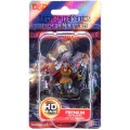 D&D Icons of the Realms Premium Figures - Dragonborn Male Fighter 0