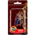 Pathfinder Battles Premium Painted Figures - Human Rogue Female 0