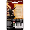 Pathfinder Battles Premium Figures - Human Rogue Male 1
