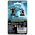 D&D Nolzur's Marvelous Unpainted Miniatures: Human Wizard Male 1