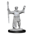 D&D Nolzur's Marvelous Unpainted Miniatures: Human Wizard Male 2