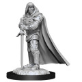 D&D Nolzur's Marvelous Unpainted Miniatures: Human Paladin Male 0