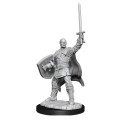D&D Nolzur's Marvelous Unpainted Miniatures: Human Paladin Male 1