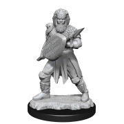 D&D Nolzur's Marvelous Unpainted Miniatures: Human Fighter Male