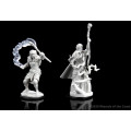 D&D Nolzur's Marvelous Unpainted Miniatures: Firbolg Druid Female 2
