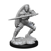 D&D Nolzur's Marvelous Unpainted Miniatures: Warforged Fighter Male