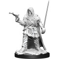 D&D Nolzur's Marvelous Unpainted Miniatures: Human Rogue Male 0