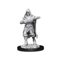 D&D Nolzur's Marvelous Unpainted Miniatures: Human Rogue Male 1